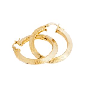 Chunky Gold jewelry hoop earrings